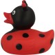 Ladybug Rubber Duck