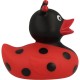 Ladybug Rubber Duck