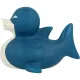 Requin Canard Lilalu