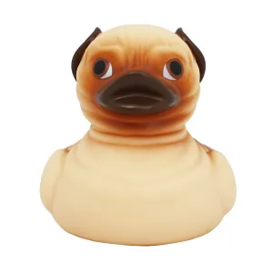 Carlin Canard Lilalu
