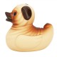 Carlin Canard Lilalu