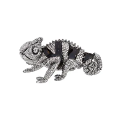 Caméléon Porte-Bonheur