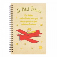 Notebook Airplane The Little Prince