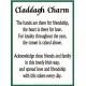 Claddagh Porte-Bonheur