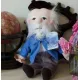Claude Monet Little Thinkers Doll Claude Monet Little Thinkers Doll