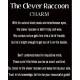 Raccoon Lucky Charm