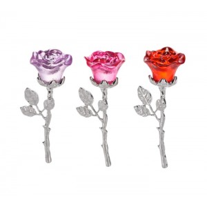 Rose Multicolore Porte-bonheur