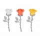 Multicolor Roses Lucky Charm