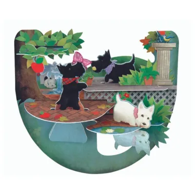 Scottish Terrier Pnr041