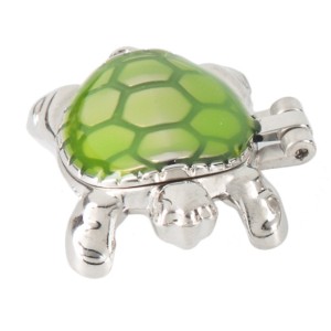 Tortue Boîte Porte-Bonheur