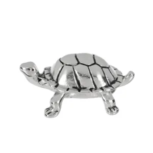 Tortue Porte-Bonheur